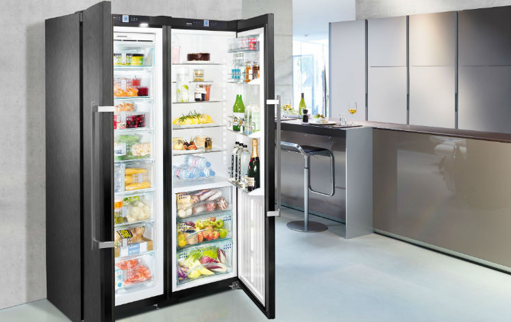 liebherr freestanding refrigerator 1