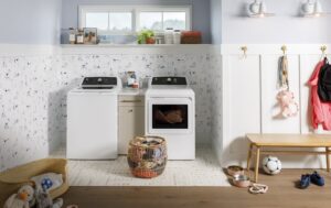 How to Clean a Smelly Washer in Santa Clarita Homes How to Clean a Smelly Washer in Santa Clarita Homes